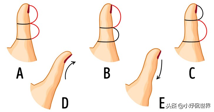 5种指型图,不同大拇指的形状代表什么