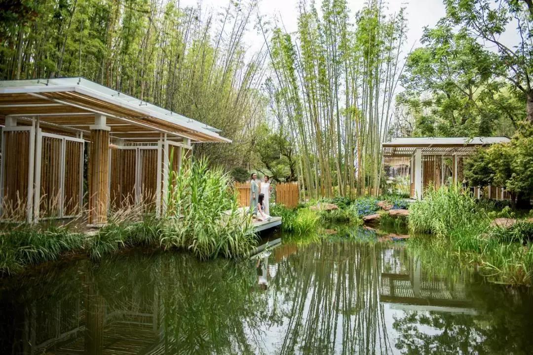 神盘麓湖生态城,麓湖生态城中国神盘