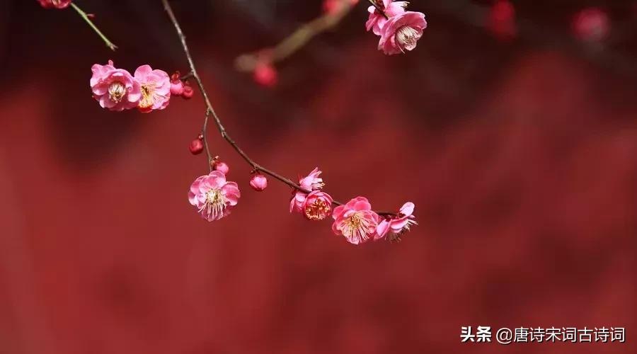 人生感悟的古诗励志句子,励志人生短句古诗