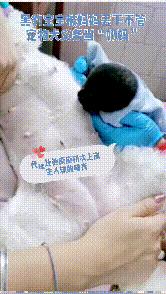 跨越种族的母爱小狗和小猫,跨越种族的母爱狗狗救小猫