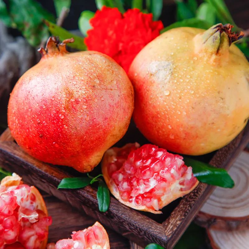 大理宾川软籽石榴园,宾川突尼斯软籽石榴图片