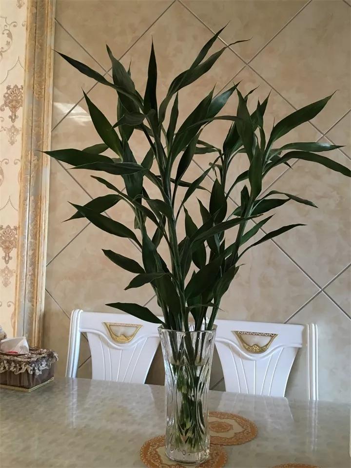 盆栽花发蔫什么原因,买回来的花很快就蔫的原因