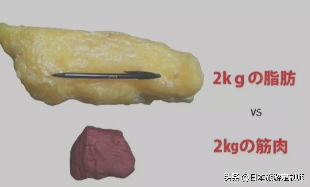 看漂亮妹子是怎么减肥的,看看别的女生是怎么减肥的