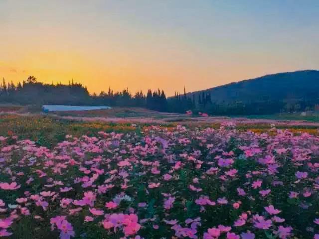 昆明周边游玩性价比最高,昆明周边少有人知的地方