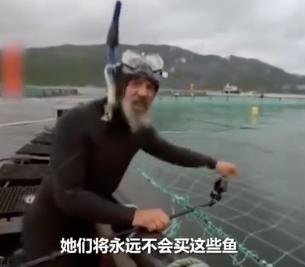 外媒曝光了挪威三文鱼养殖真相吗,挪威三文鱼养殖罪恶新闻