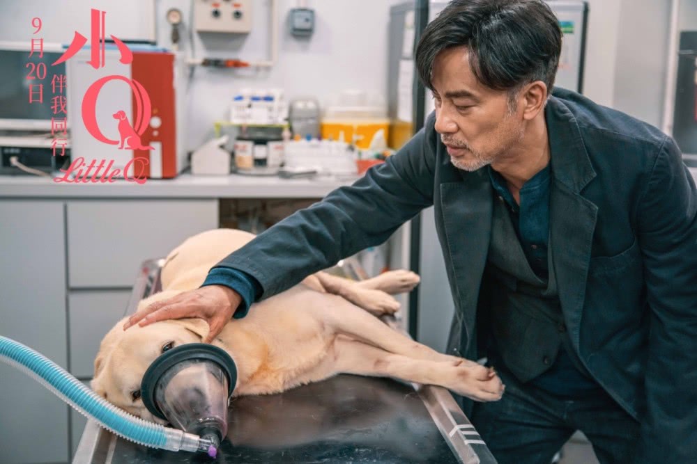 你有被人坚定的选择过吗原视频,你有被人坚定的选择过吗