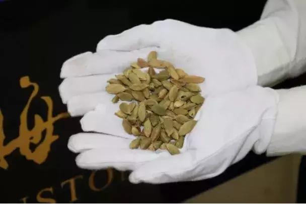 鍙屾棪璐墿璁″垝,璺熸梾娓稿洟鍘婚娓杩囨捣鍏冲悧