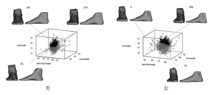 埃及脚希腊脚罗马脚区别,罗马脚希腊脚埃及脚