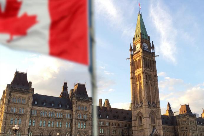 加拿大鹅卖断货,售价近万元的加拿大鹅卖断货