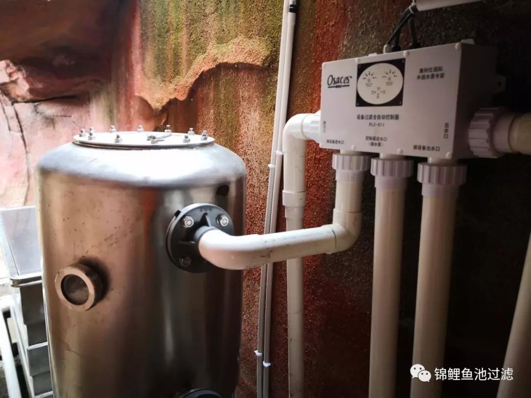 养锦鲤必备的一款鱼池过滤器,锦鲤鱼池过滤器自制方法