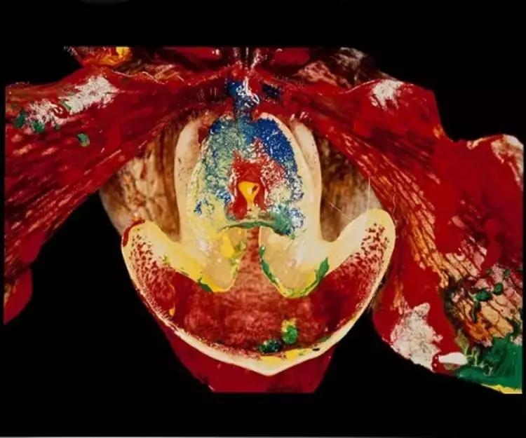 旅游城市如何吸引游客,旅游业怎么吸引游客消费