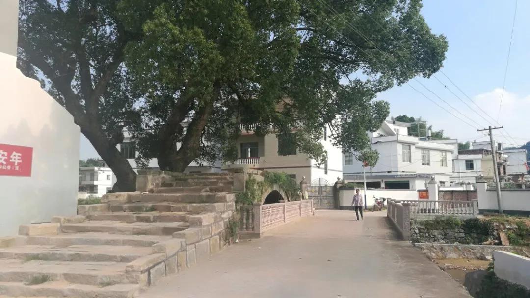 大坪上洛村,深度贫困村打赢翻身仗