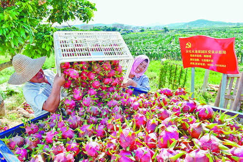 厦门文旅也开始发力了,厦门文旅产品最新消息