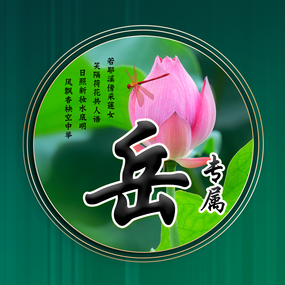 100张唯美荷花姓氏头像,适合做头像的荷花图片清晰点的