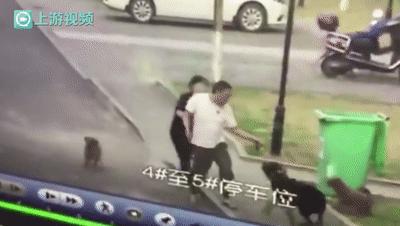 恶犬咬人狗主人要赔偿吗,恶犬咬人将狗弄伤要负法律责任