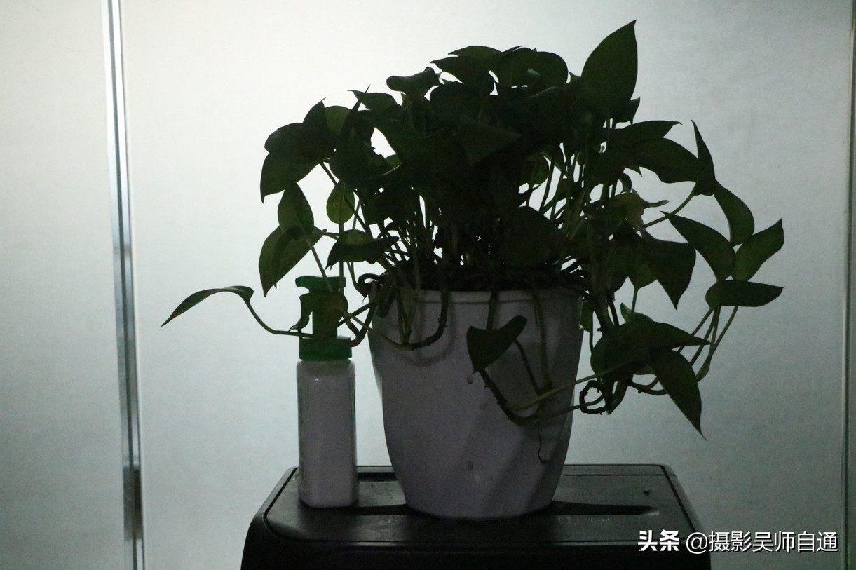 新手小白如何上手相机的各项功能,相机的各个功能介绍