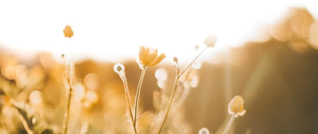 私人整形导致毁容怎么办,私外整形手术危险吗