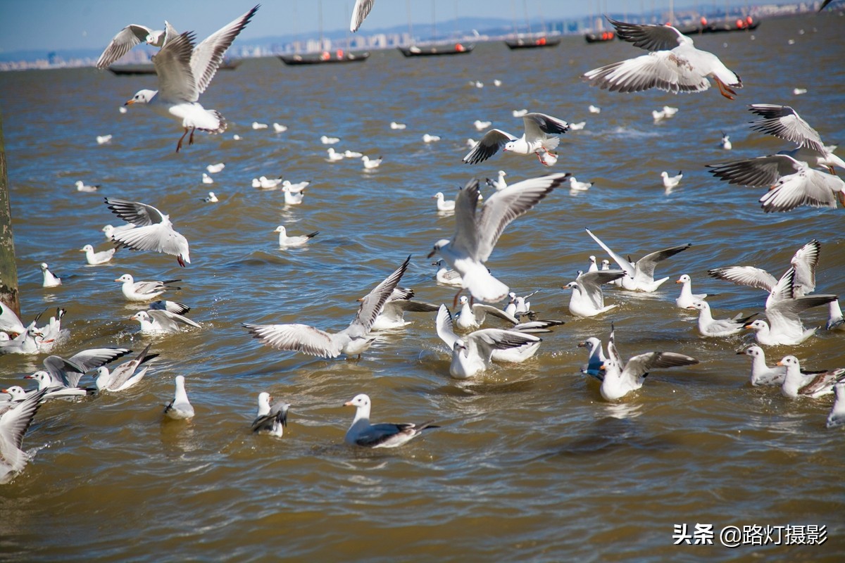 中国最适合养老的“特大城市”，气候宜人环境美，一年四季都宜居