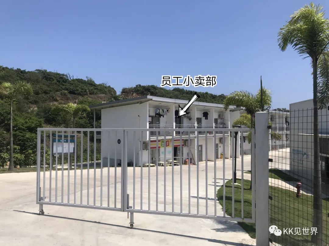 东澳岛电动车环岛旅游,珠海东澳岛徒步攻略
