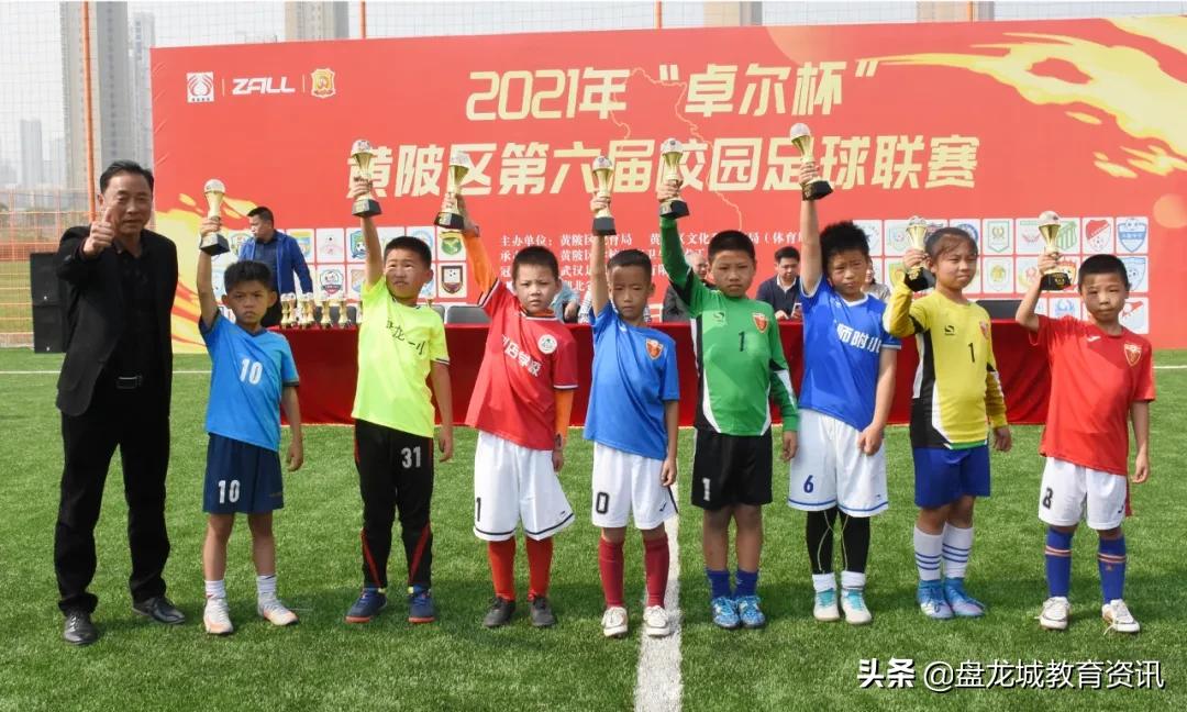 学校足球联赛捷报,黄陂区校园足球联赛王家河中学