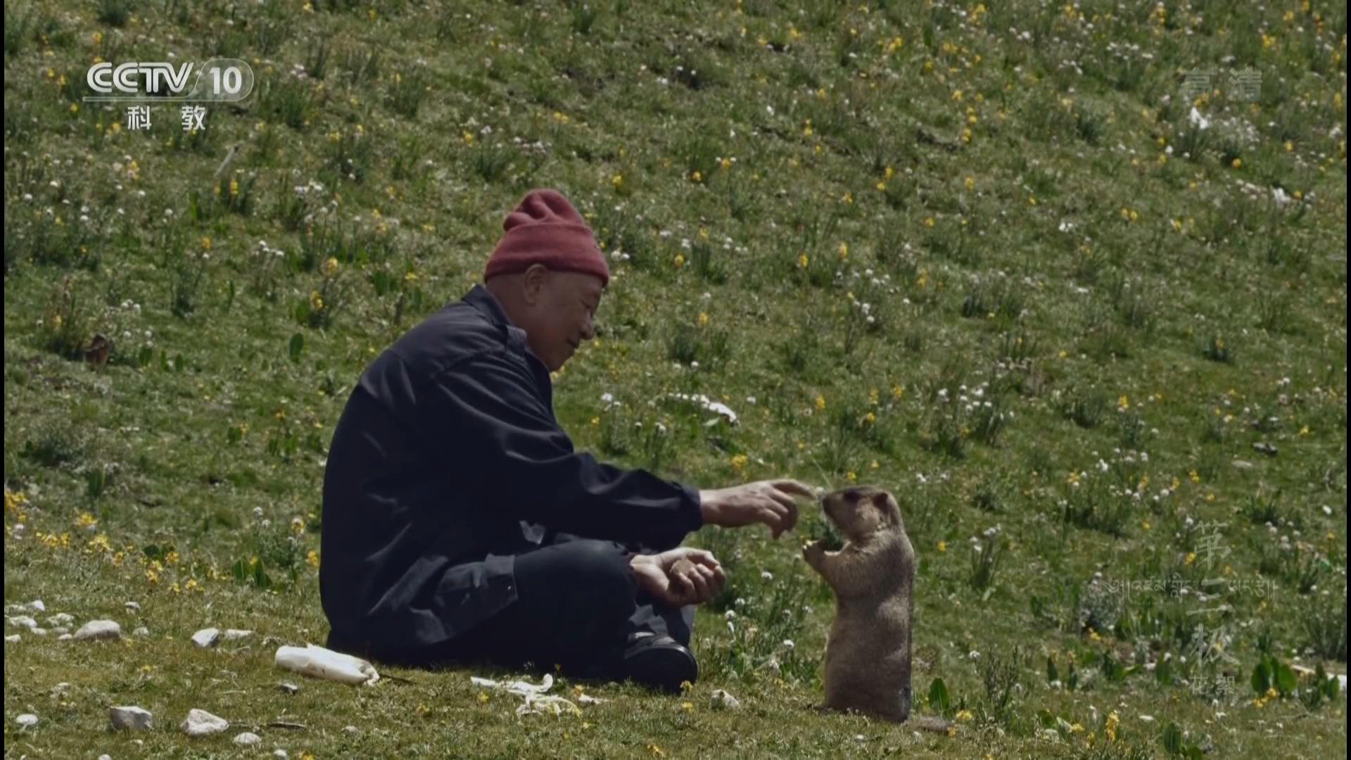 “第三极”*藏西**：最普通的人和事，最不普通的人与自然和谐相处