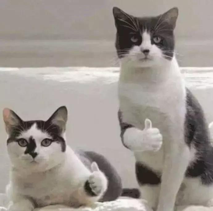 平价又好用的防晒推荐,这个夏天哪些防晒值得买平价篇