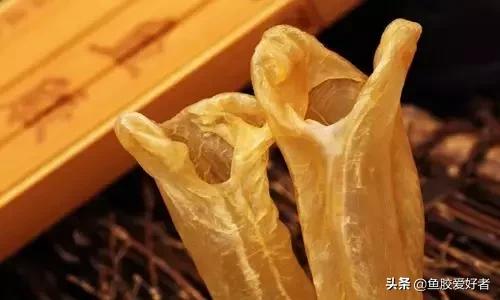 花胶涨发的正确方法,花胶的种类及区别