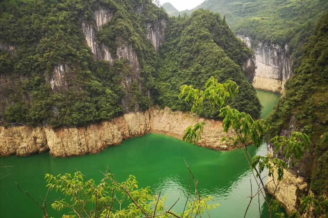 手上脱皮是什么真菌,手上脱皮真菌感染抹什么药膏好