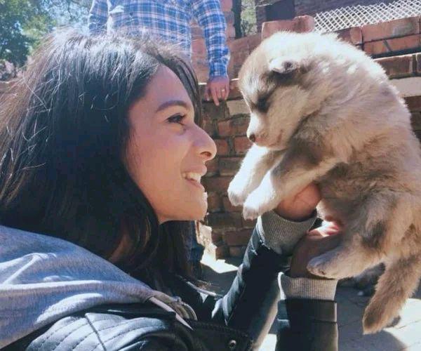 小狗喜欢趴在自己身上睡觉,小狗喜欢趴在主人脑袋上