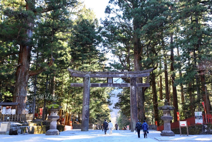 东京冬天附近游玩攻略,1月份的东京好去处