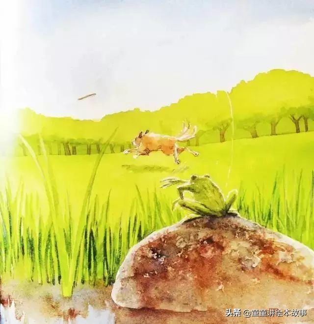 绘本故事有声小熊进城,绘本故事大城市里的小象