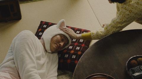 那个孤独的美食家，改行做了猫界家政妇。