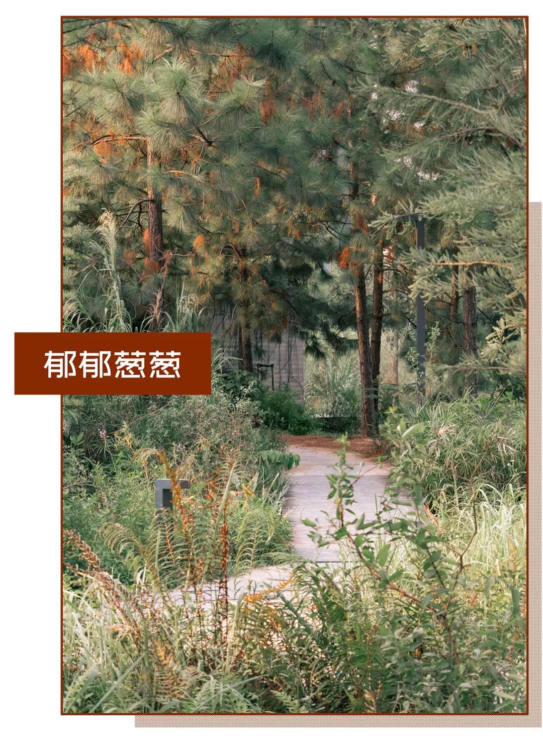 深圳宝安喝茶的世外桃源,宝安西乡世外桃源