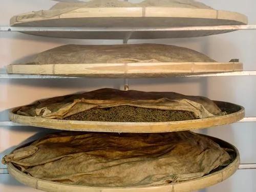 祁门红茶茶知识科普,祁门红茶跟其他红茶制作工艺区别