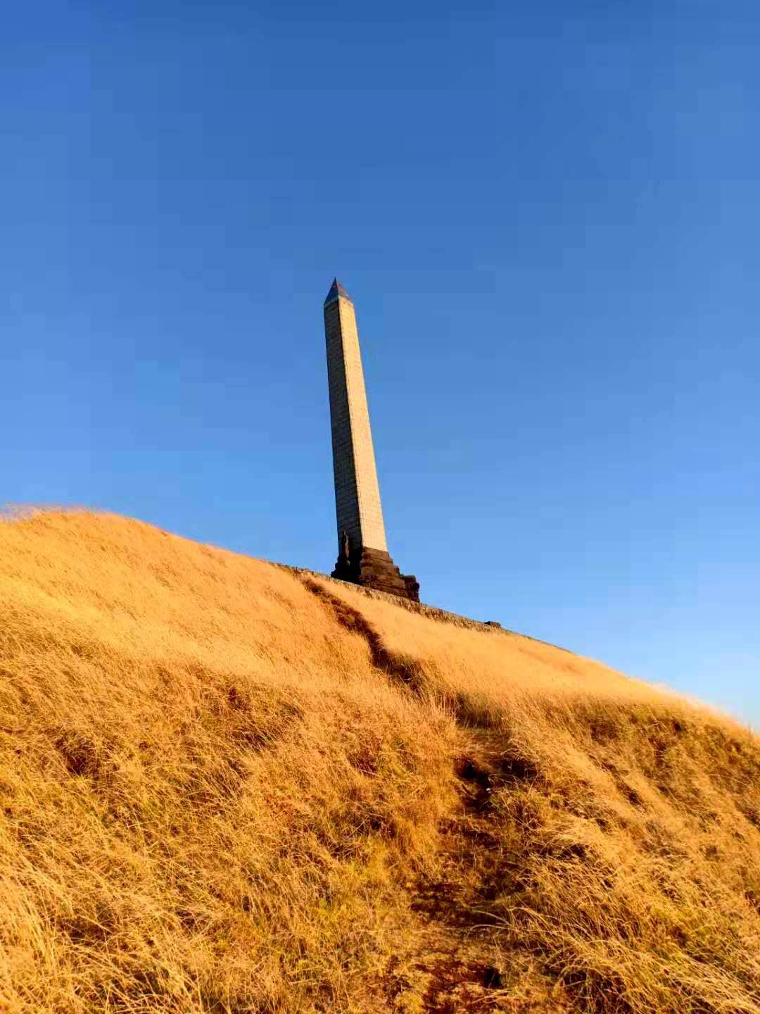 一树山,我的精神家园