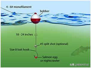 钓三文鱼视频野钓,三文鱼夏季淡水钓法