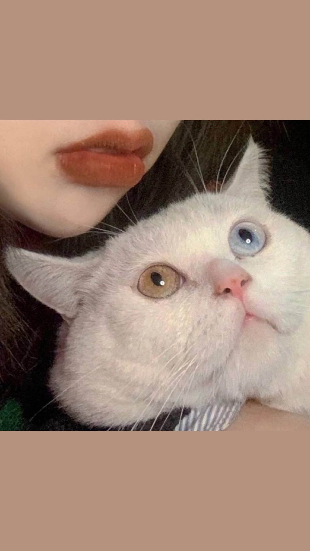 人物壁纸精选,人物壁纸分享