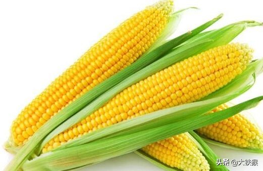 大师用玉米钓鱼怎样调漂,简单易学的钓鱼老玉米制作