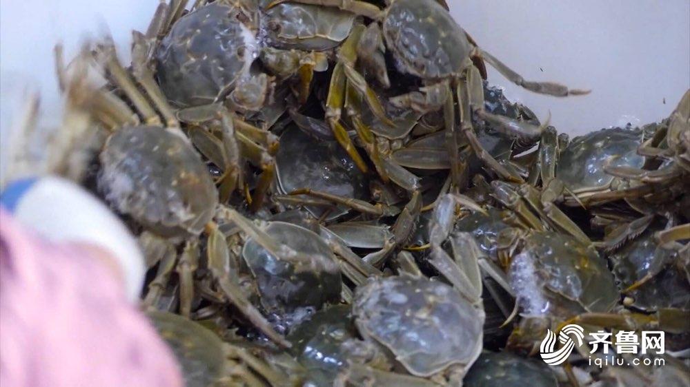 农贸市场食品安全公示栏,2020年食品安全示范城市名单