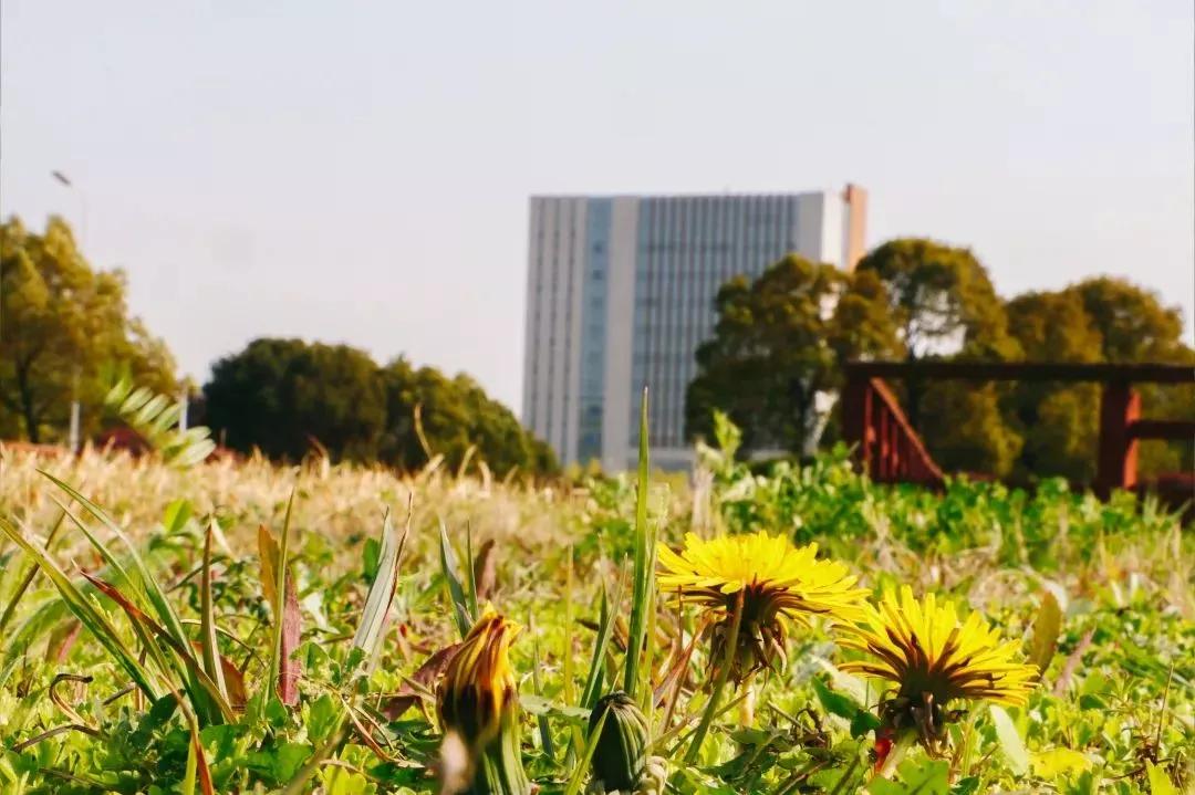 南京师范大学泰州学院1847,江苏6所省属师范大学