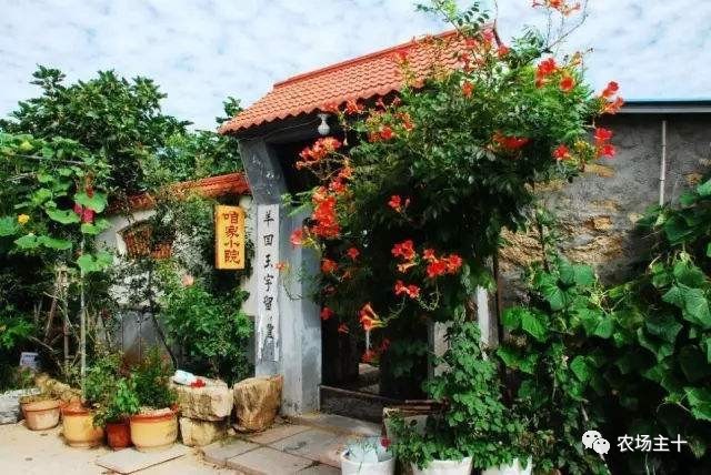 你是否曾经也向往过农村生活,向往田园生活和体验往往有差距