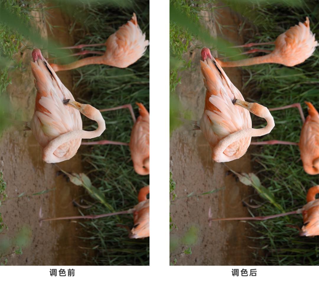 抖音视频测试的方法,抖音怎么让视频变快的教程