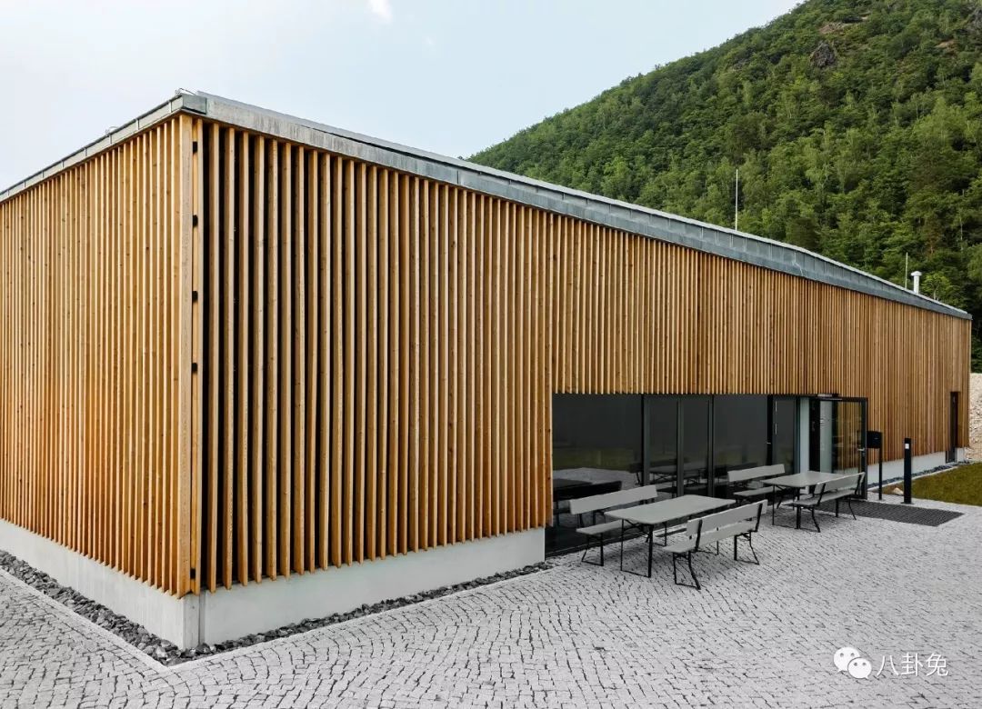 德国手表nomos机械表怎么样,德国手表nomos二手