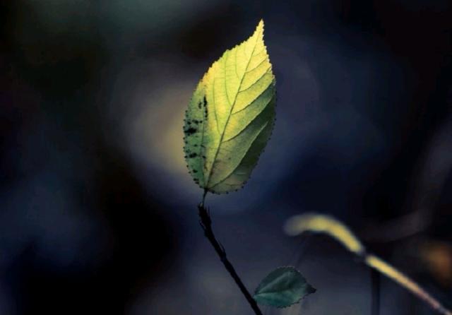 看透了人间冷暖的说说,看清人心的经典现实说说