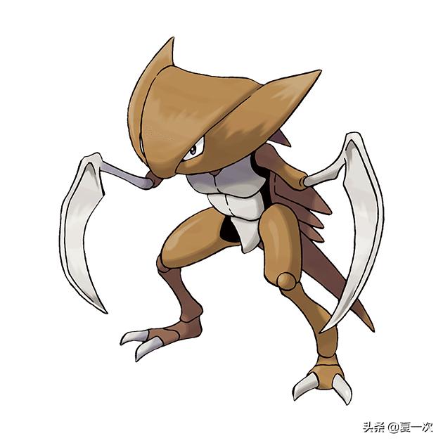 神奇宝贝卡牌剑之王和盾之王,神奇宝贝卡片双斧战龙