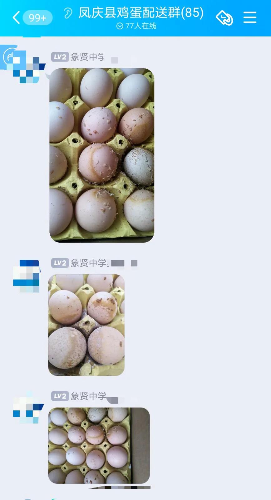 云南通报中学食堂变质调查结果,云南通报中学食堂食物变质事件