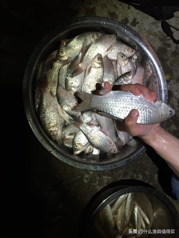 冬天钓鲫鱼小综合鱼竿,寒潮大风天钓鱼