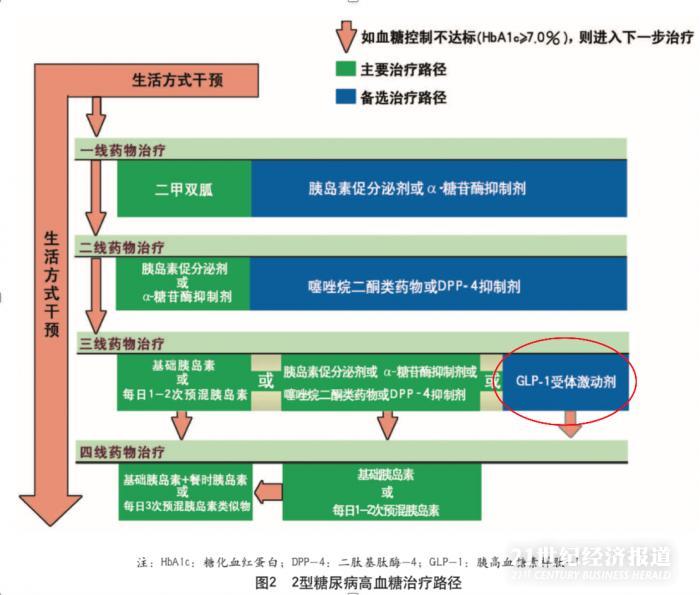 网上自己打针瘦身的产品,打减肥针专用的注射笔