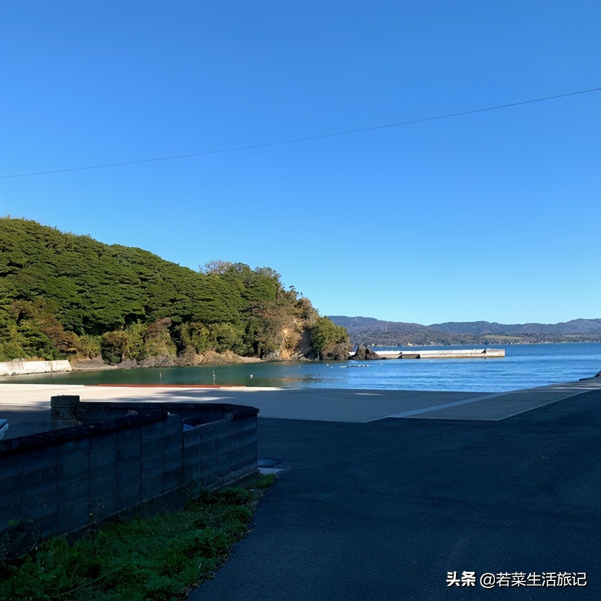 猫奴们都想去的圣地日本的猫岛,日本猫岛猫咪