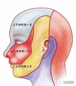 牙痛不是病,牙痛真的不是病吗